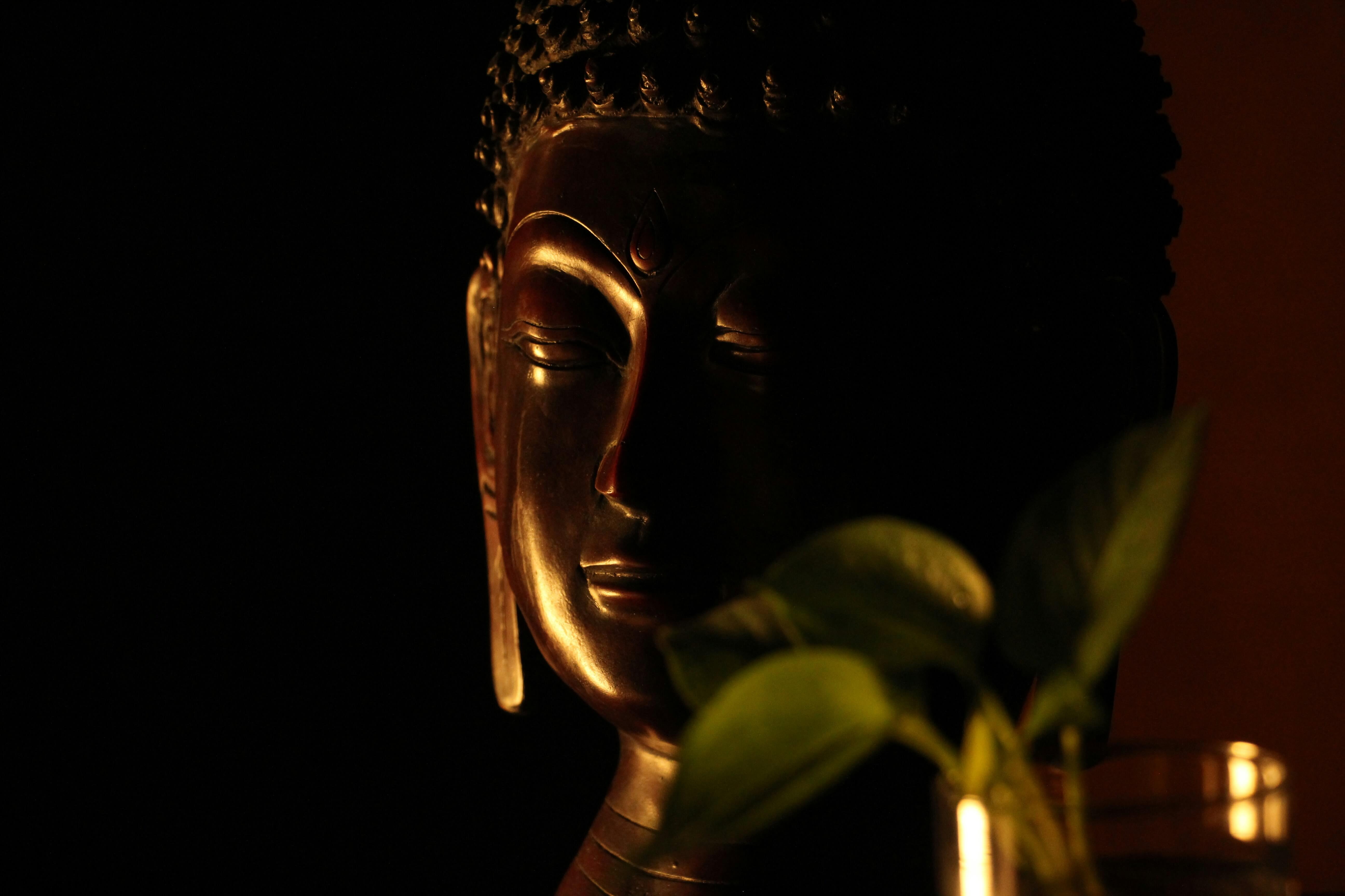 Clarity and confidence. Natural light. Calm but strong presence